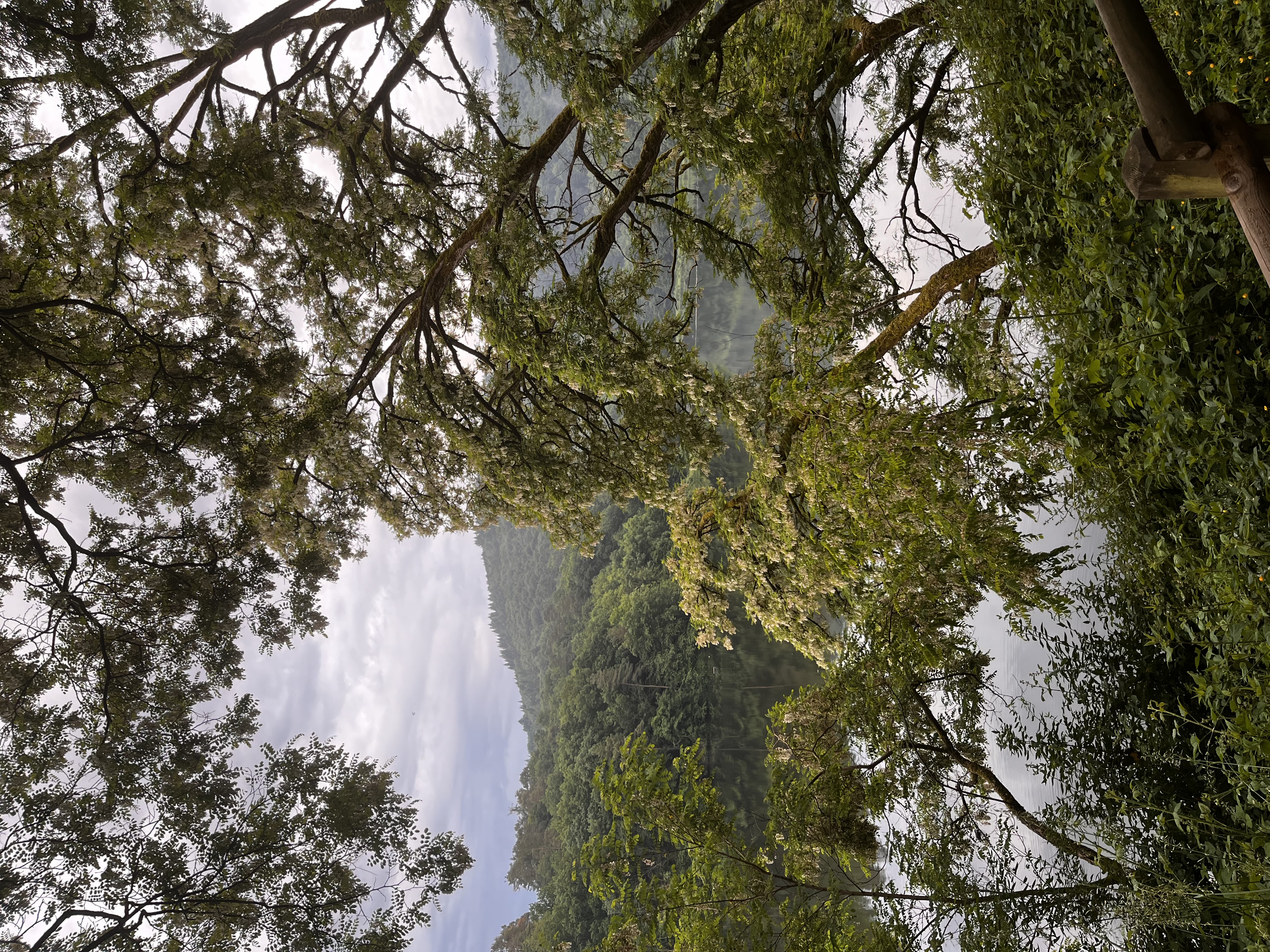 Wandern